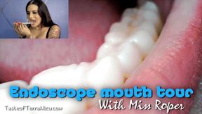 Endoscope Mouth Tour - Miss Roper - HD 720 MP4