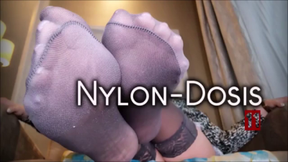 Nylondosis 11