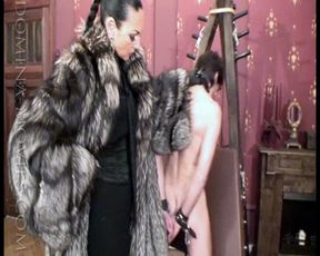 Venus in Furs II