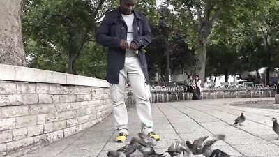 White girl is butt-fucked by black guy while cuckold licks her pussy