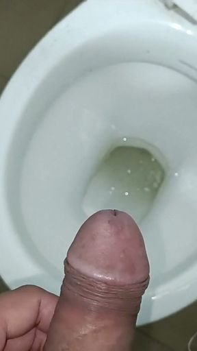 Land ko sahlate samay peshab aa gaya   Clip 2