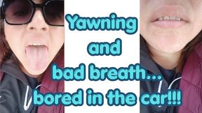 Yawning and bad breath... bored in the car