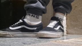I'm Showing off My Vans Shoes, a Compilation of the Best with Vans