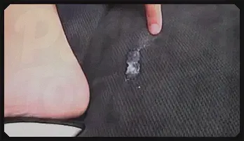 Latina MILF Alexis Rain Stepmom Creampie POV