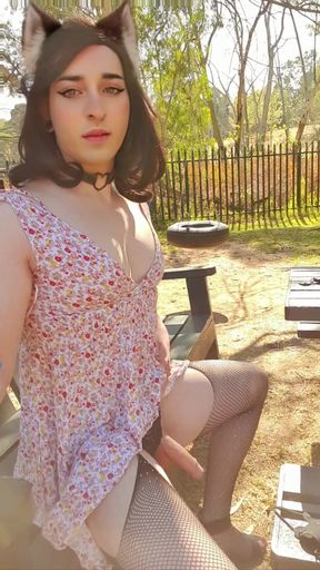 Cute trans girl decides to jerk off during a random stroll thru the park