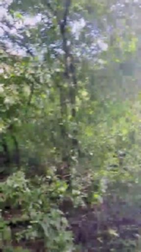 Slutboyben CAM4 Sexy cruising chick III Live Voyeur Outdoor Exposure