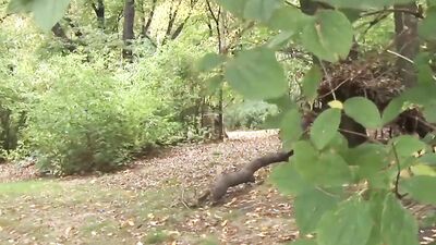 German Stepmom picked up for outdoor sex