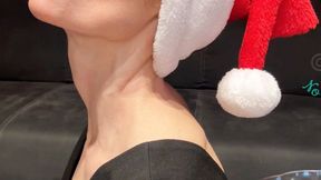 4K ON SALE -- Have a Swallow-y Jolly Christmas with DrArches!