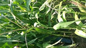 Wisho pl&aacute_tica sus fantas&iacute_as sexuales con Jair(Chavita)