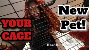 Caged and Humiliated - Lady Cinder