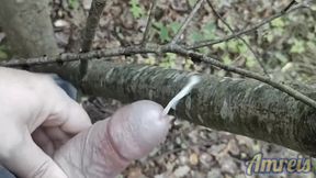 I jerked off and came while walking in the forest. Cum on a tree.