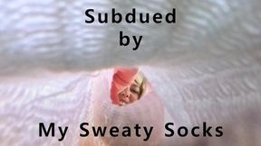 Subdued by my Sweaty Socks - 360VR