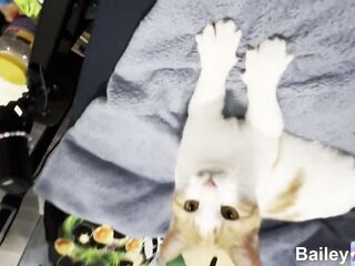 Trying to Make an Easter Movie: Behind the Carrot