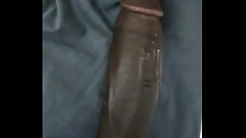 BBC
