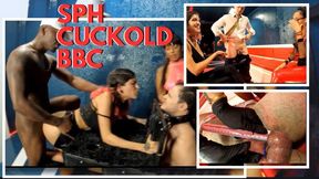 How to make a cuckold's wife happy ?