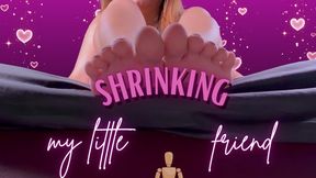 SHRINKING MY LITTLE FRIEND