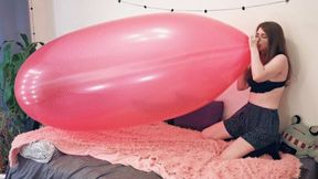 Cosette BTP's crystal pink Roomtex Blimp balloon - 480p