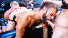 Triple Trouble: Logan Stevens Pinned by Three Horny Stallions – RagingStud247