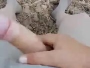 Calze da donna sborrata maschile  masturbazione con gemiti