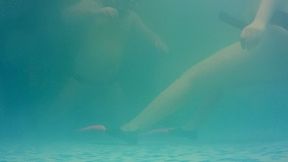 We are back! - part 2