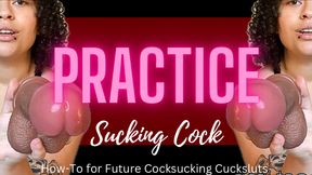 Cocksucking Practice - Bi Cuck Training