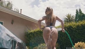 Bounce AJ Applegate