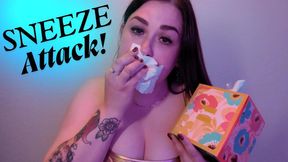 The Sneeze ****