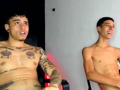 Two beautiful sexy twinks are looking for gay porn on web