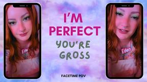 I’m perfect, you’re gross (facetime POV - vertical clip)