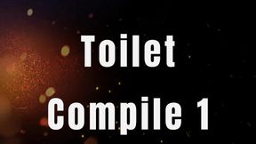 Toilet Compile 1