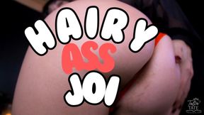 Hairy Ass JOI