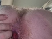 White Kiwi Bear from NZ shows off his beginner anal rosebud