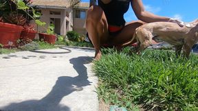 Young mom flashes her ass while washing puppy in public