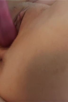 Lolly Blond the Hungry Tigress