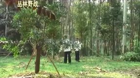 Japan - Wargame In Forest