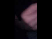 Me la jalé