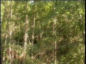 Sexy blonde with great tits gets her pussy licked and fucked outdoors
