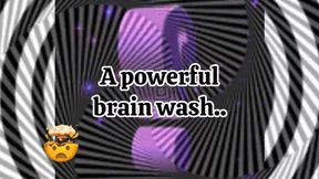 Brain Wash or Blanket Wash