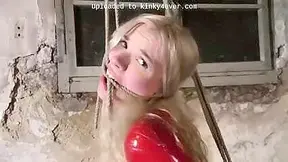 Vanessa 1