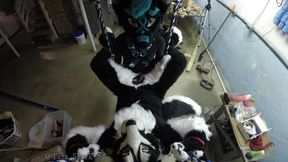 Murrsuiter Gets Pegged Hard By A Dominatrix In A Swing