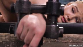 ”Blonde is chained & set on Sybian”