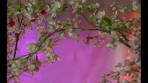 Milf like taking a big cock up the ass and swallowing a hefty load of thick white semen.