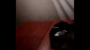 brave le mie donnine