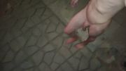 Piss shower and cum in public