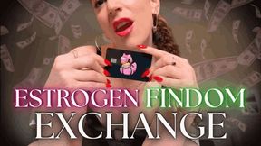 Estrogen Findom Exchange