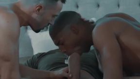 Fucks A White Ass And Black Ass - Rocco Steele