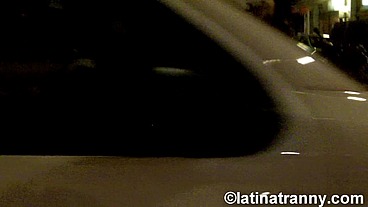 Transgender whore Nikki Montero prostitute in Swiss and London working on the streets