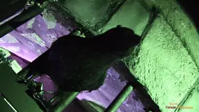 Blindfolded Prisoner Wakes up to Big Blonde Milf's Threesome Pleasure