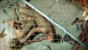 Kelly Wells is getting fucked while sampling cock from multiple glory holes