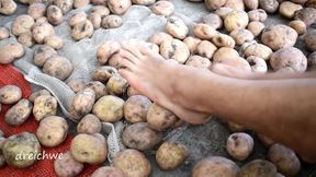 Touching delicious potatoes with the feet